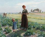 Aime Perret The lettuce patch oil painting